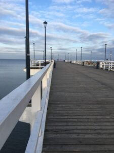 matura z biologii studia w gdańsku matura z biologii studia w gdańsku