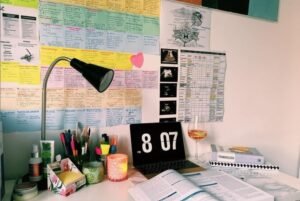 studia lekarskie na Śląskim Uniwersytecie Medycznym czas studia lekarskie na Śląskim Uniwersytecie Medycznym czas