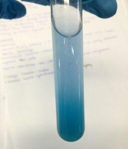 studia w Poznaniu farmacja studia w Poznaniu farmacja