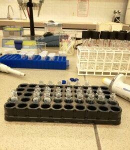 studia w Poznaniu labolatorium studia w Poznaniu labolatorium